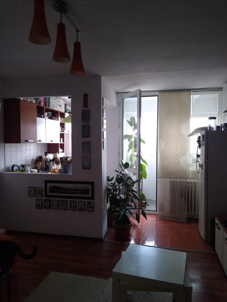 Iancului, Elev Stefanescu,
