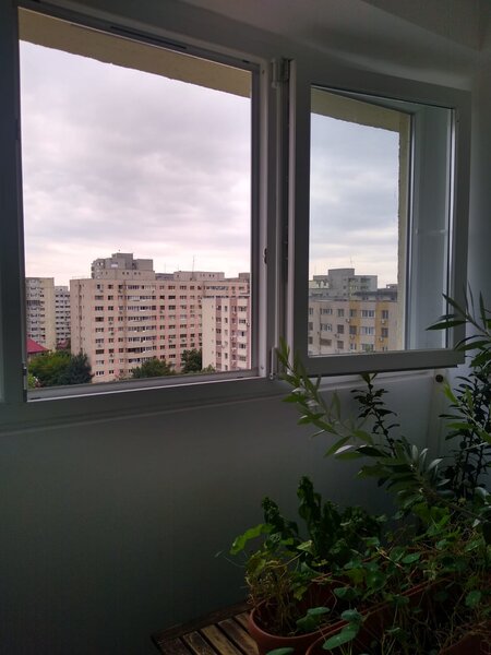 Iancului, Elev Stefanescu,